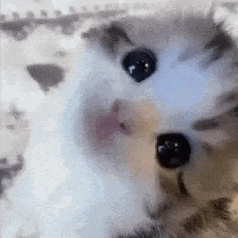 creator ~🌸†❣𝚋𝚕𝚊𝚌𝚔𝚜𝚒𝚝𝚊❣†🌸~'s avatar