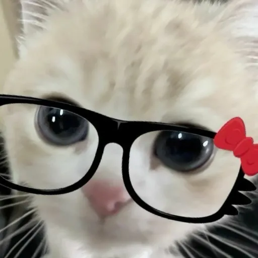 creator Hari33's avatar