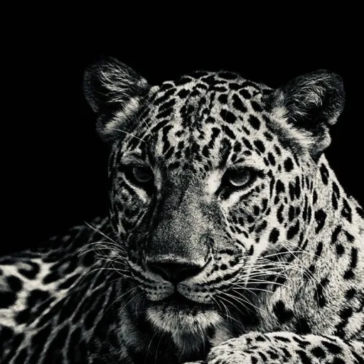 creator m_Heart's avatar