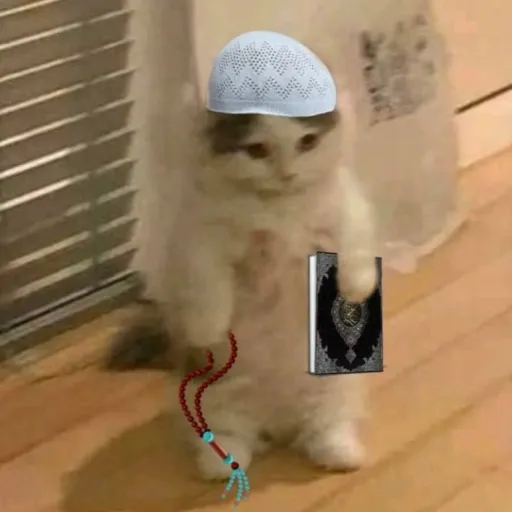 creator yuji muslim's avatar