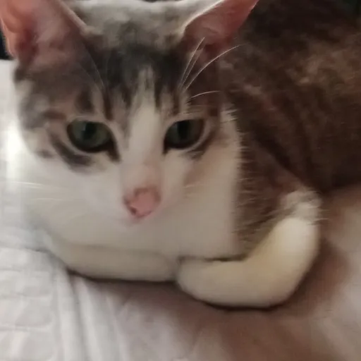 creator "★ale★"'s avatar