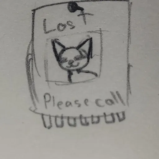 creator lost kitten's avatar