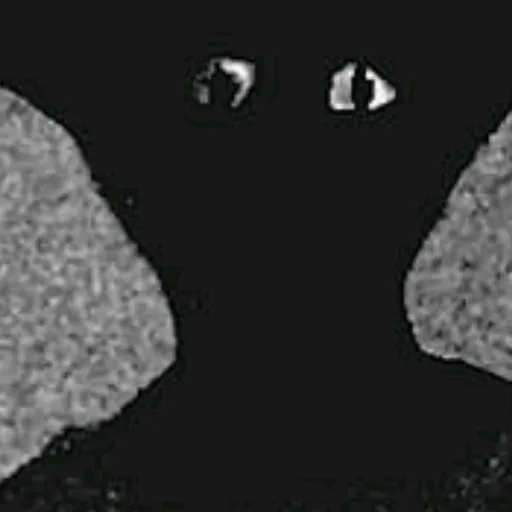 creator takecare's avatar