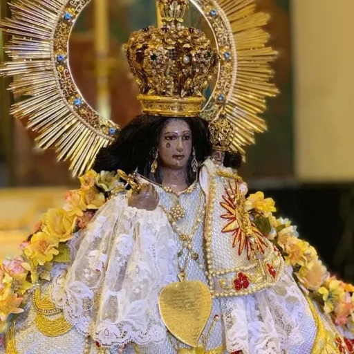 creator @virgenDeTalpa🌹💛's avatar