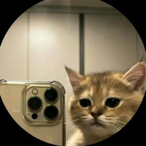 creator el michi pro 😎😺's avatar