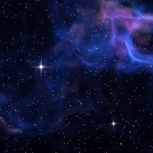 creator {The Mimic}'s avatar