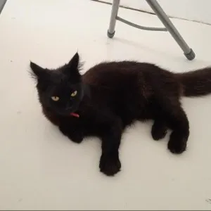 creator KileA27's avatar