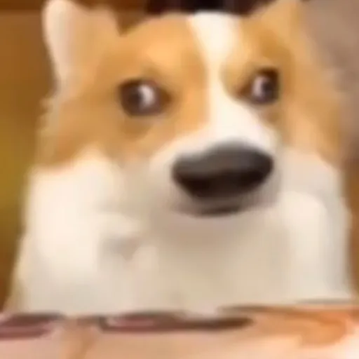 creator ДЭБИЛ's avatar