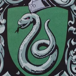 chat with ai character: Slytherin Gang