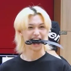 creator loves Skz❤️'s avatar