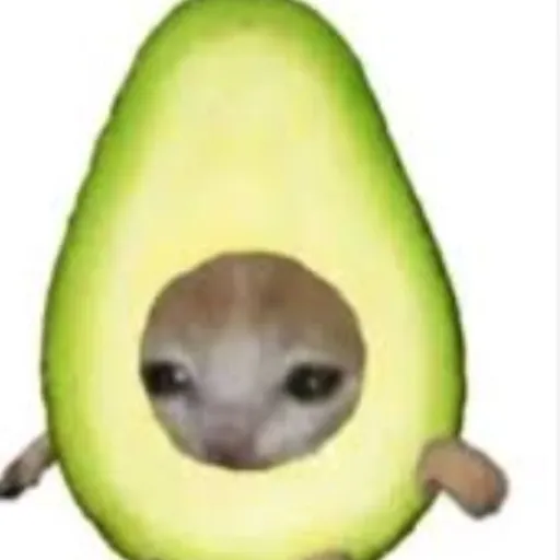 creator ★~🌱aguaCATe!🌱~★'s avatar