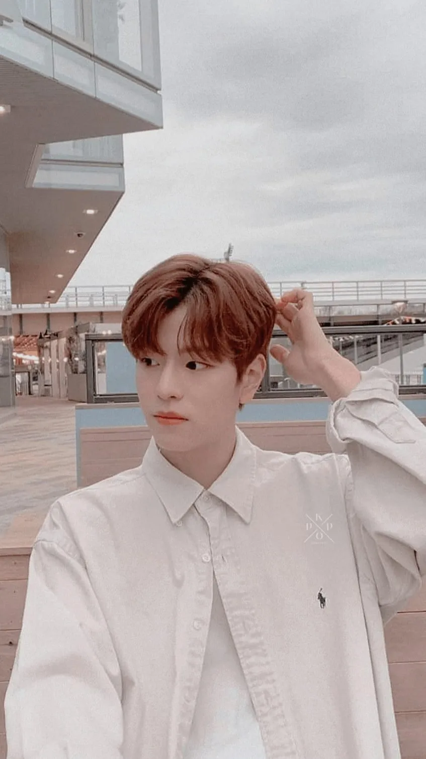 ai character: Kim Seungmin background
