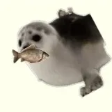 creator (карась)'s avatar