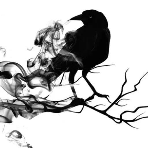 creator harpy hare#1's avatar