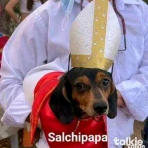 creator Salchi-papa's avatar