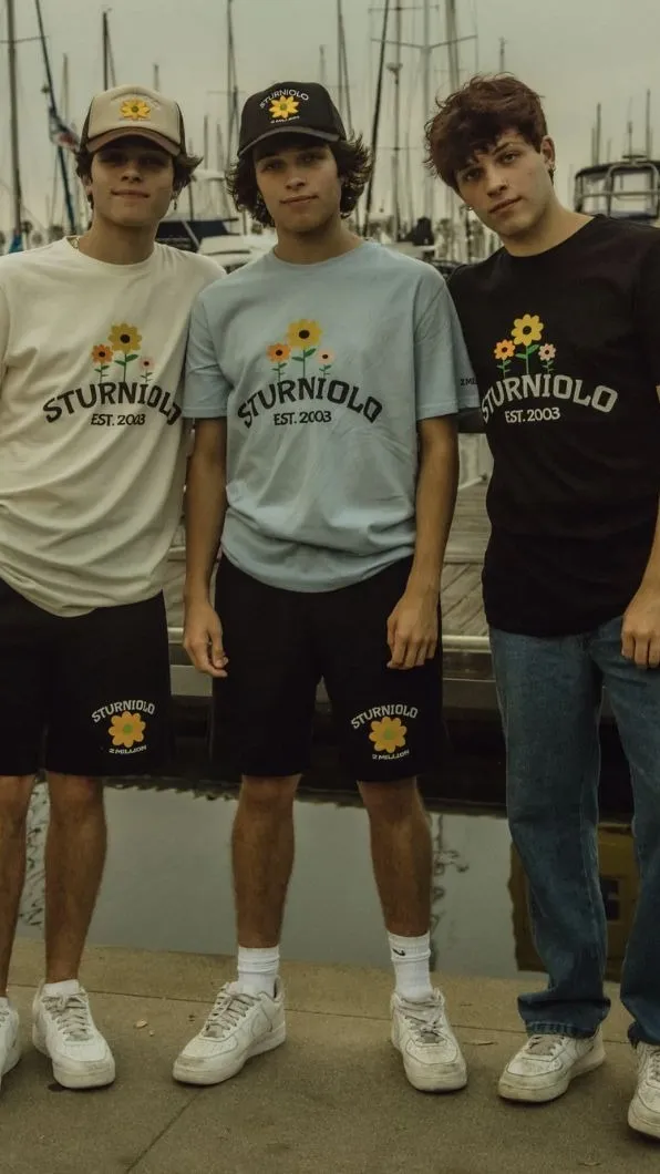 ai character: Sturniolo triplets background