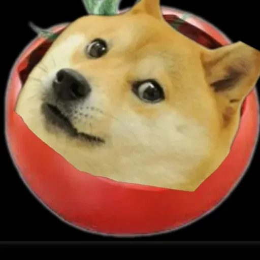 creator Romka1's avatar