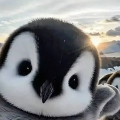 creator Cute baby penguin's avatar