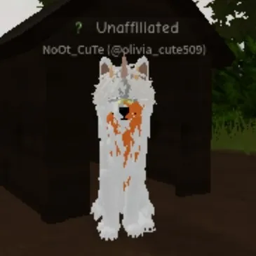 comment user avatar