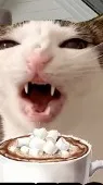 ai character: cat road trip background