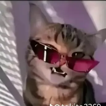 creator FERxva's avatar