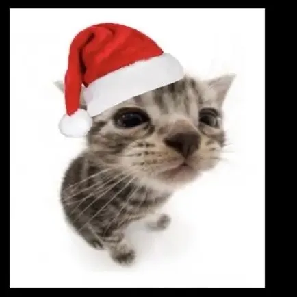 creator ✨🌈Luna Rodriguez✨🌈's avatar