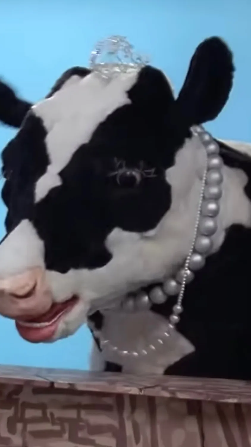 ai character: Countess the cow background