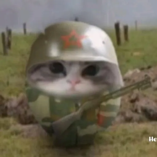 creator gato antif's avatar