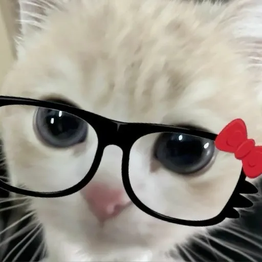 creator Talkior-UgDBKURz's avatar
