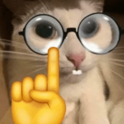 creator gato nerd's avatar