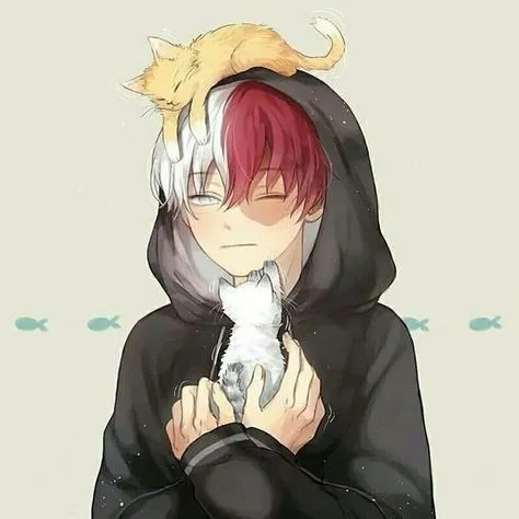 creator ~✨️Shoto✨️~🔥🧊's avatar