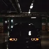creator Talkior-kiZMx97O's avatar