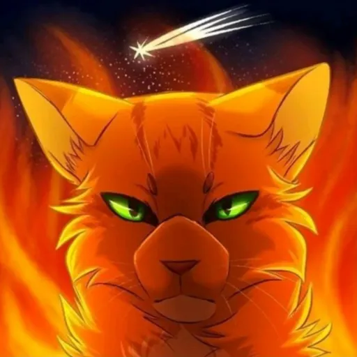 creator коты в's avatar