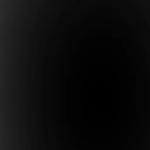 creator *+:。.。.。:+*'s avatar