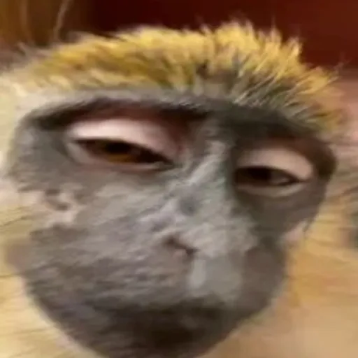 creator БрАдОк💔🥵👅's avatar