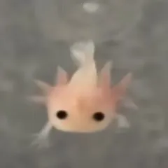 creator sana🐹i★!'s avatar