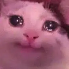 creator Talkior-Ydxn696l's avatar