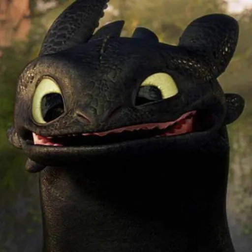 creator 🖤Toothless 🖤's avatar