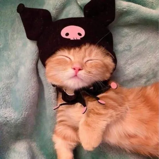 creator Putty Kitty's avatar
