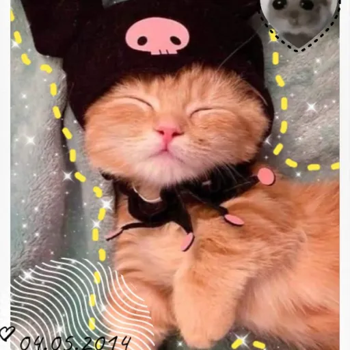 creator Putty Kitty's avatar