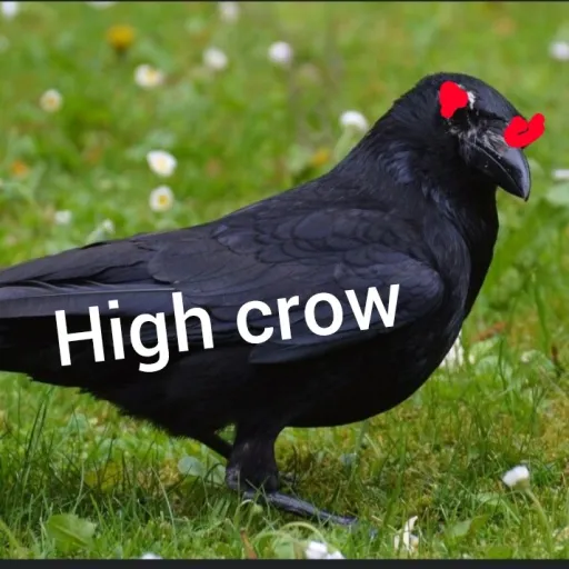 creator The joint crow's avatar
