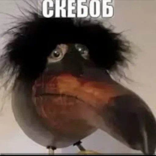 creator дундук 52's avatar