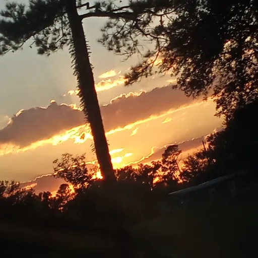 creator ~prince~ :3's avatar