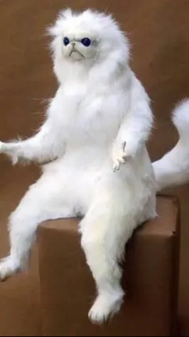 ai character: Raven Blackwood background