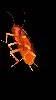 ai character: DeBug background