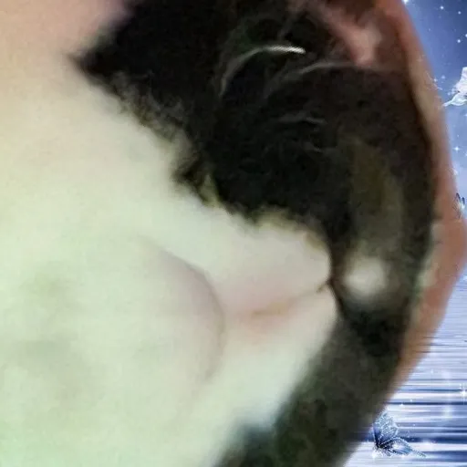 creator ¶eanut's avatar