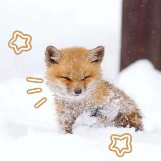 creator i.nniefoxz's avatar