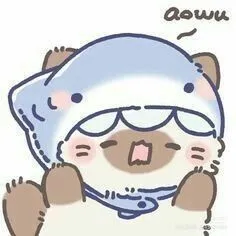 comment user avatar