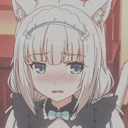 creator Satere's avatar