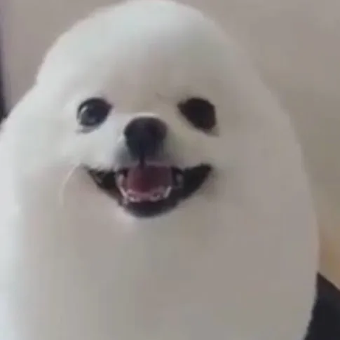 creator Kimikim_i like dog's avatar